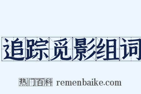 追踪觅影组词是什么意思的图片